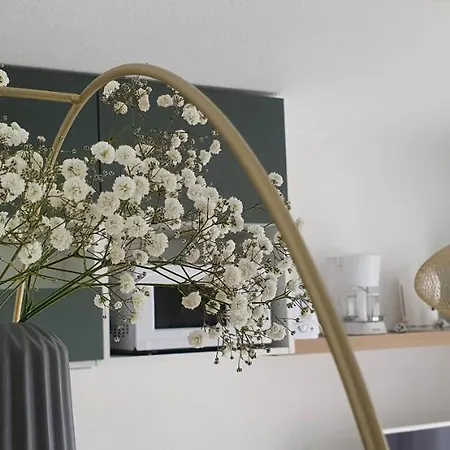 Heima, Cocoon A 500m De La